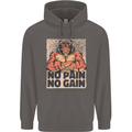 Gym Tiger No Pain No Gain Training Top Mens 80% Cotton Hoodie Charcoal