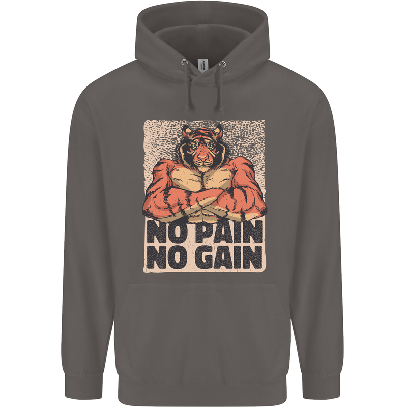 Gym Tiger No Pain No Gain Training Top Mens 80% Cotton Hoodie Charcoal