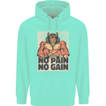 Gym Tiger No Pain No Gain Training Top Mens 80% Cotton Hoodie Peppermint
