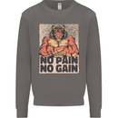 Gym Tiger No Pain No Gain Training Top Mens Sweatshirt Jumper Charcoal