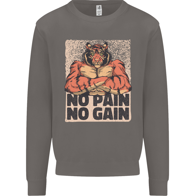 Gym Tiger No Pain No Gain Training Top Mens Sweatshirt Jumper Charcoal
