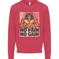 Gym Tiger No Pain No Gain Training Top Mens Sweatshirt Jumper Heliconia