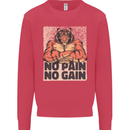 Gym Tiger No Pain No Gain Training Top Mens Sweatshirt Jumper Heliconia