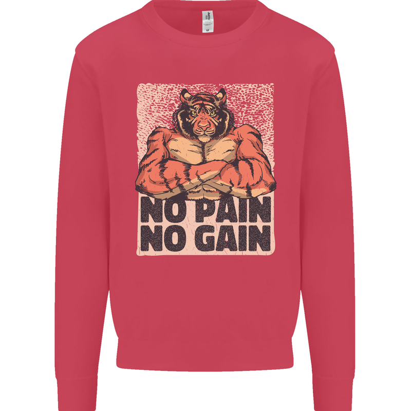 Gym Tiger No Pain No Gain Training Top Mens Sweatshirt Jumper Heliconia