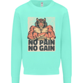 Gym Tiger No Pain No Gain Training Top Mens Sweatshirt Jumper Peppermint