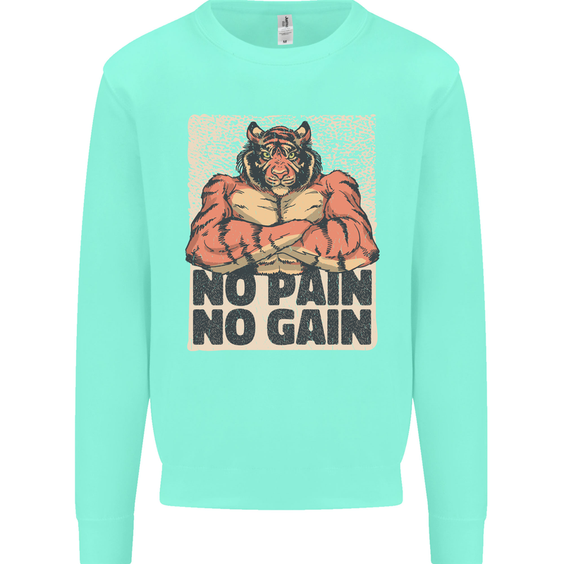 Gym Tiger No Pain No Gain Training Top Mens Sweatshirt Jumper Peppermint