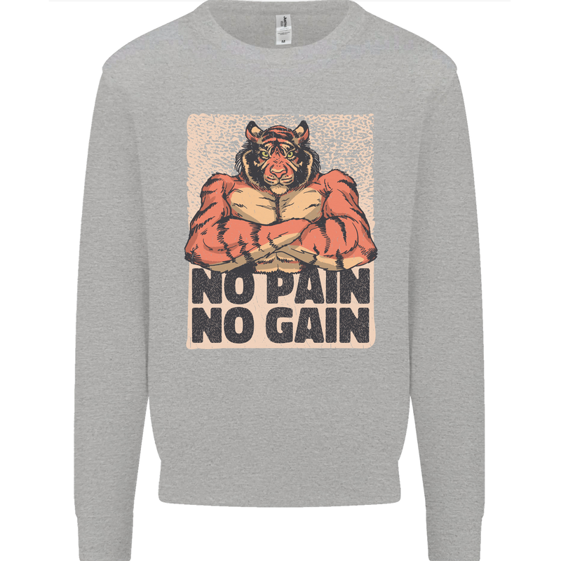 Gym Tiger No Pain No Gain Training Top Mens Sweatshirt Jumper Sports Grey