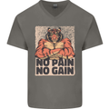 Gym Tiger No Pain No Gain Training Top Mens V-Neck Cotton T-Shirt Charcoal