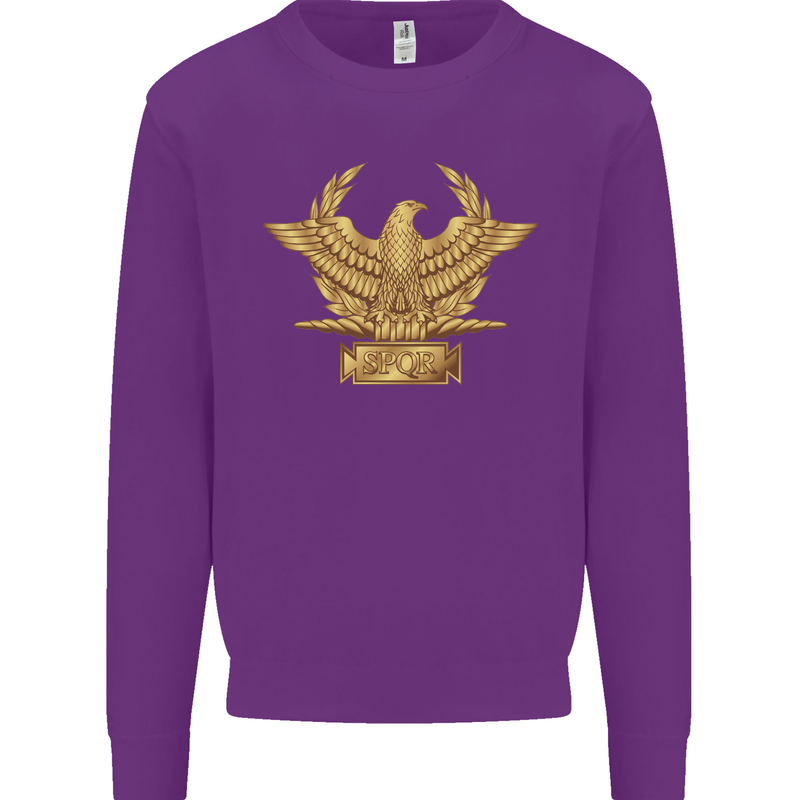 Gym Training Top Bodybuilding SPQR Mens Sweatshirt Jumper Purple