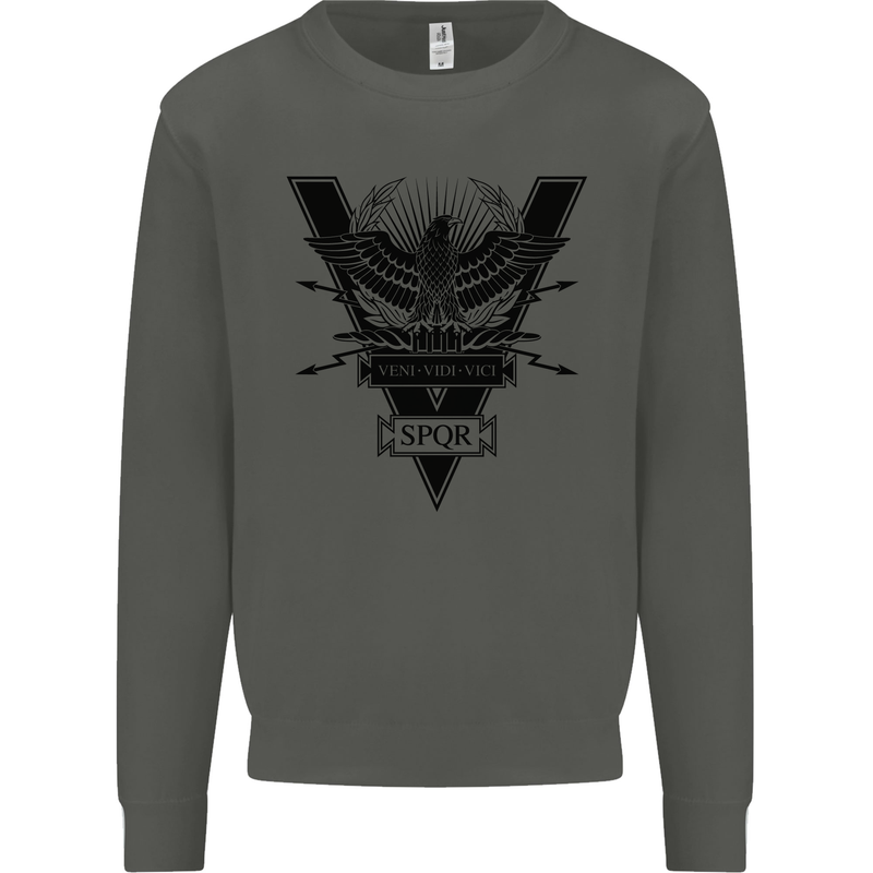 Gym Training Top Weightlifting SPQR Roman Kids Sweatshirt Jumper Storm Grey