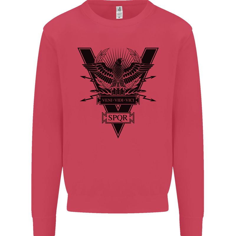 Gym Training Top Weightlifting SPQR Roman Mens Sweatshirt Jumper Heliconia