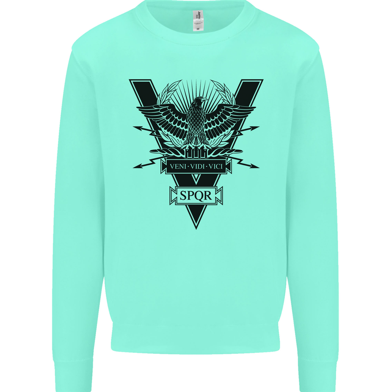 Gym Training Top Weightlifting SPQR Roman Mens Sweatshirt Jumper Peppermint