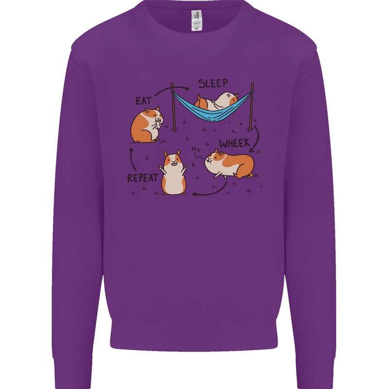 Hampster Eat Sleep Wheek Repeat Funny Kids Sweatshirt Jumper Purple