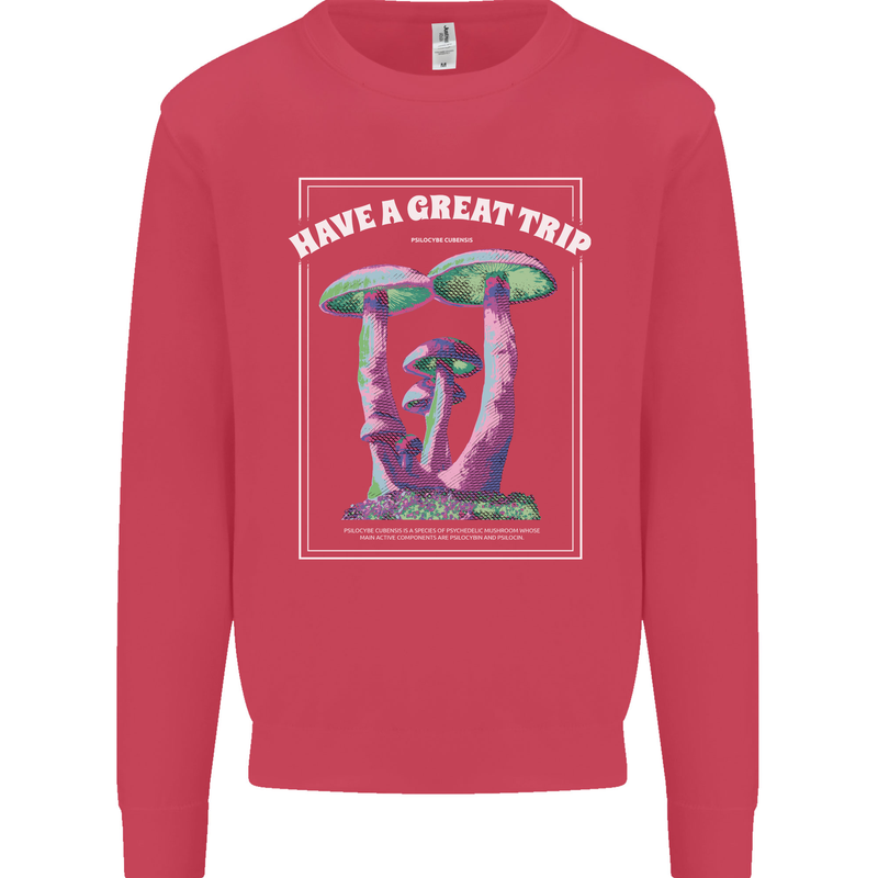 Have a Great Trip Magic Mushrooms LSD Hippy Kids Sweatshirt Jumper Heliconia