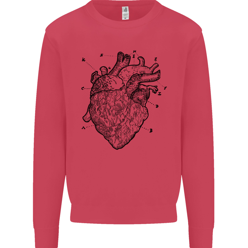 Heart Diagram Kids Sweatshirt Jumper Heliconia