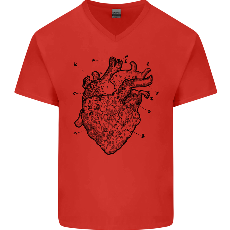 Heart Diagram Mens V-Neck Cotton T-Shirt Red