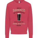 Hellow Darkness My Old Friend Funny Alcohol Kids Sweatshirt Jumper Heliconia