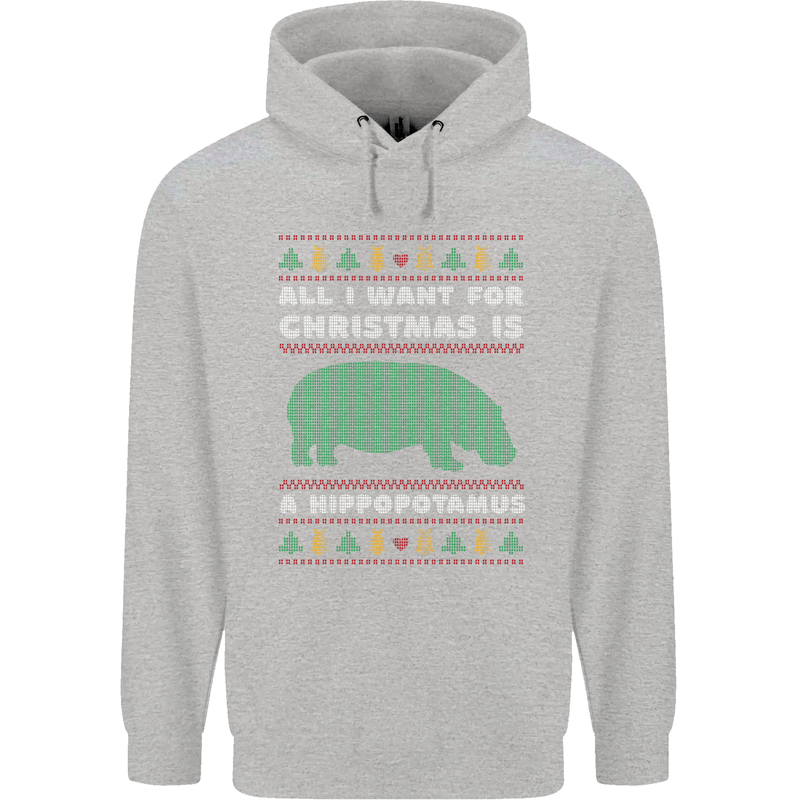 Hippopotamus Hippo Christmas Funny Childrens Kids Hoodie Sports Grey