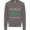 Hippopotamus Hippo Christmas Funny Mens Sweatshirt Jumper Charcoal
