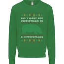Hippopotamus Hippo Christmas Funny Mens Sweatshirt Jumper Irish Green