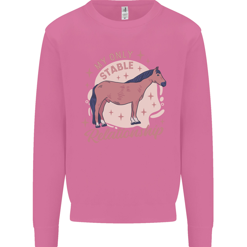 Horse My Only Stable Relationship Equestrian Mens Sweatshirt Jumper Azalea