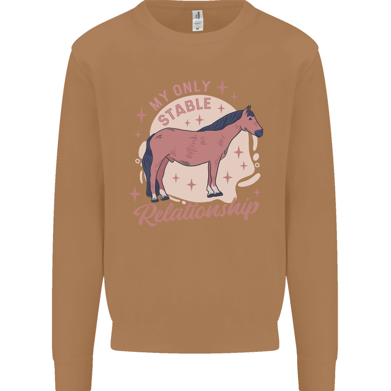 Horse My Only Stable Relationship Equestrian Mens Sweatshirt Jumper Caramel Latte