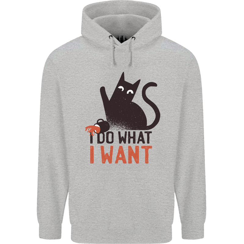 I Do What I Want Funny Cat Childrens Kids Hoodie Sports Grey