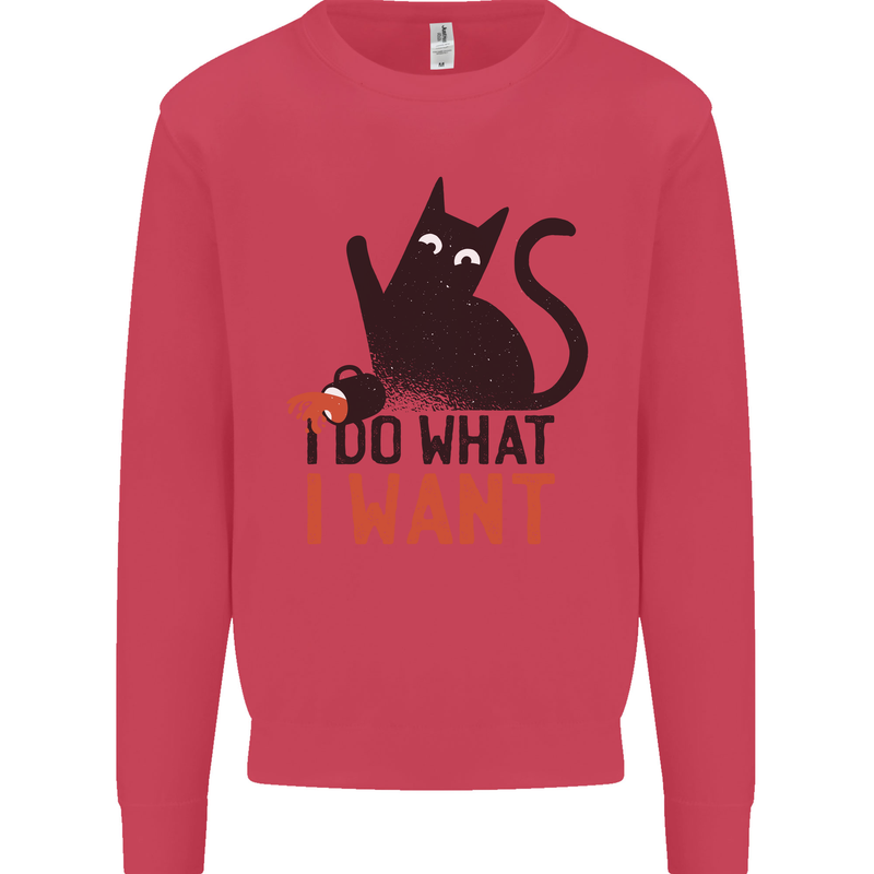 I Do What I Want Funny Cat Kids Sweatshirt Jumper Heliconia