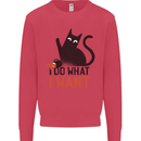 I Do What I Want Funny Cat Mens Sweatshirt Jumper Heliconia