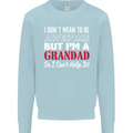 I Don't Mean to Be but I'm a Grandad Mens Sweatshirt Jumper Light Blue