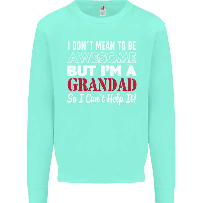 I Don't Mean to Be but I'm a Grandad Mens Sweatshirt Jumper Peppermint