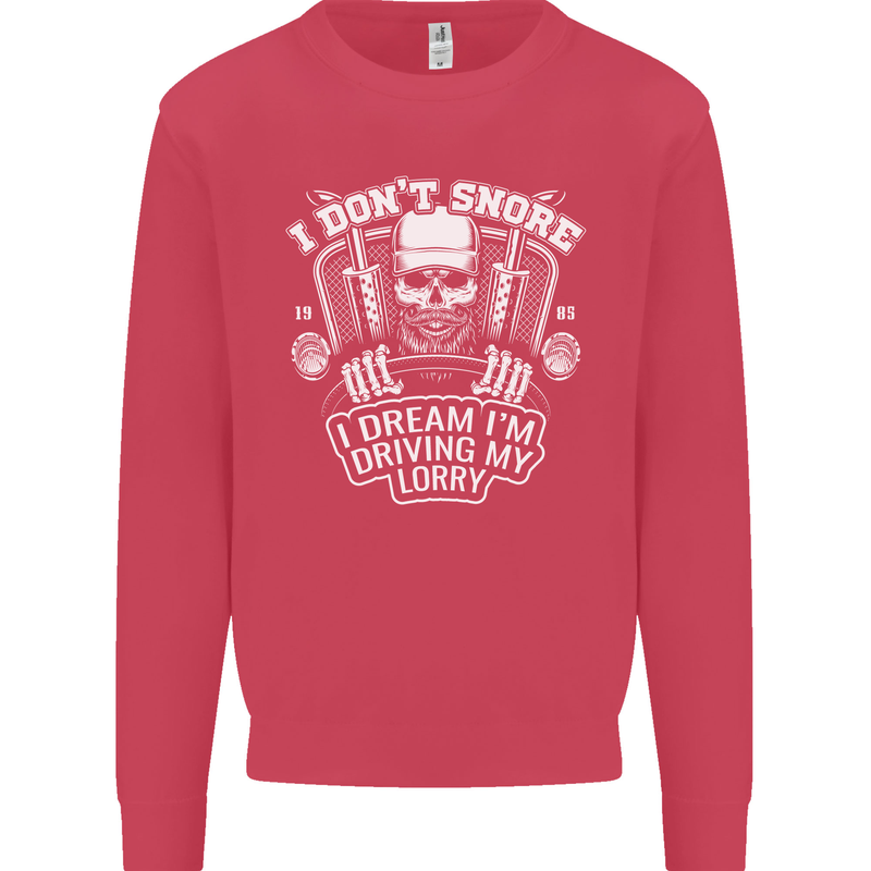 I Don't Snore Driving My Lorry Driver Kids Sweatshirt Jumper Heliconia