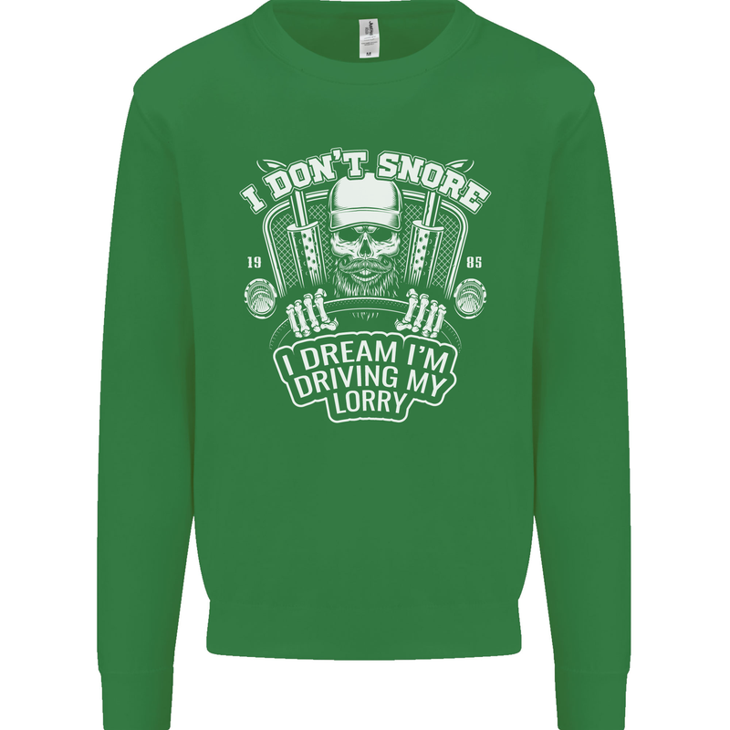 I Don't Snore Driving My Lorry Driver Kids Sweatshirt Jumper Irish Green
