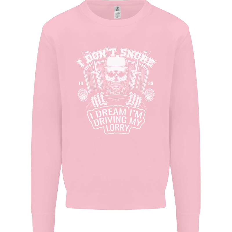 I Don't Snore Driving My Lorry Driver Kids Sweatshirt Jumper Light Pink