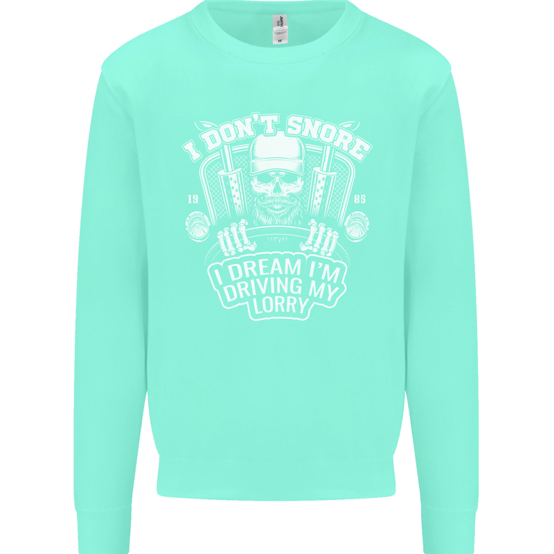 I Don't Snore Driving My Lorry Driver Kids Sweatshirt Jumper Peppermint
