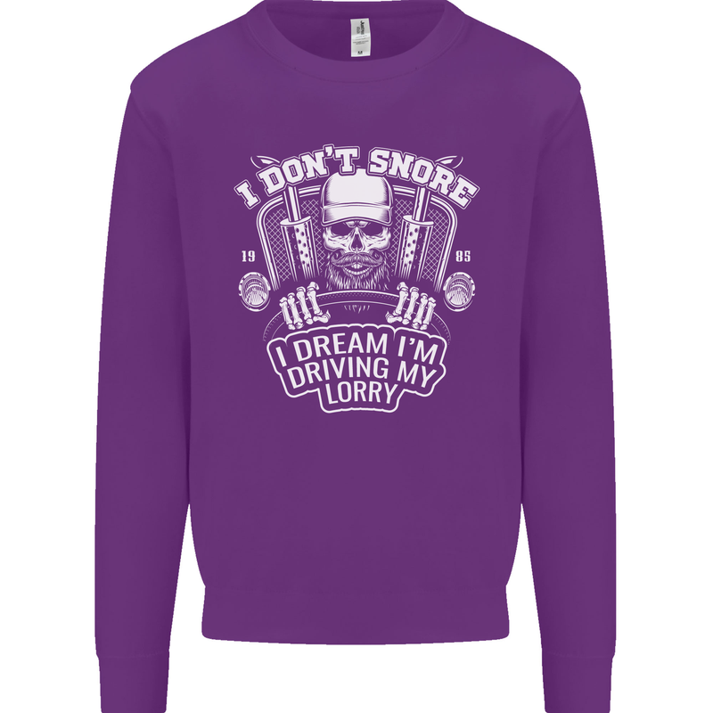 I Don't Snore Driving My Lorry Driver Kids Sweatshirt Jumper Purple