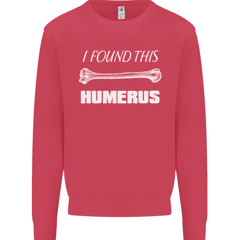 I Found This Humerus Funny Slogan Mens Sweatshirt Jumper Heliconia
