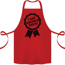 I Got Dressed Today Antisocial Funny Gamer Cotton Apron 100% Organic Red
