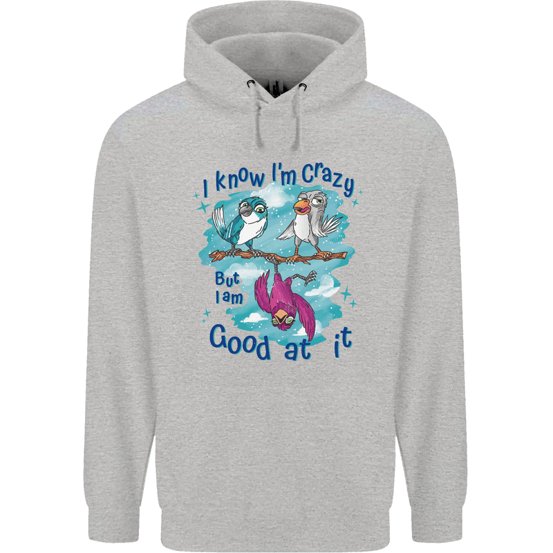 I Know I'm Crazy Funny Bird Slogan Childrens Kids Hoodie Sports Grey