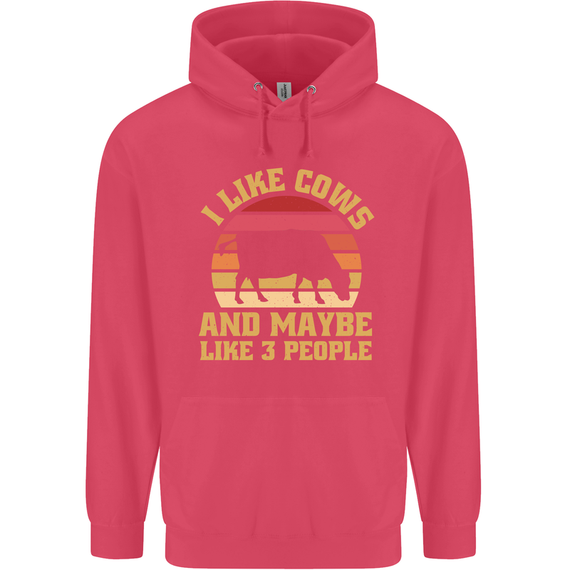I Like Cows & 3 People Funny Sarcastic Slogan Childrens Kids Hoodie Heliconia
