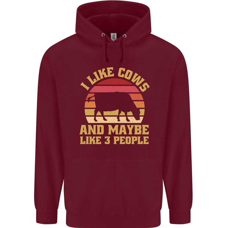 I Like Cows & 3 People Funny Sarcastic Slogan Childrens Kids Hoodie Maroon