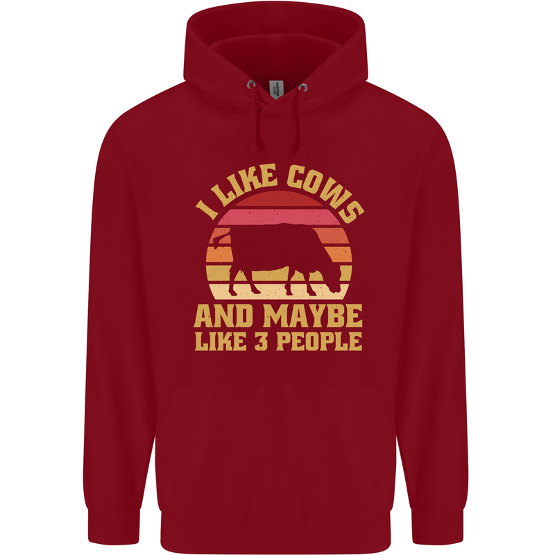 I Like Cows & 3 People Funny Sarcastic Slogan Childrens Kids Hoodie Red