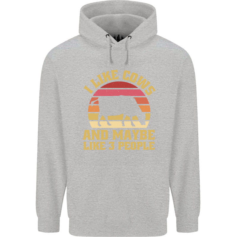 I Like Cows & 3 People Funny Sarcastic Slogan Childrens Kids Hoodie Sports Grey