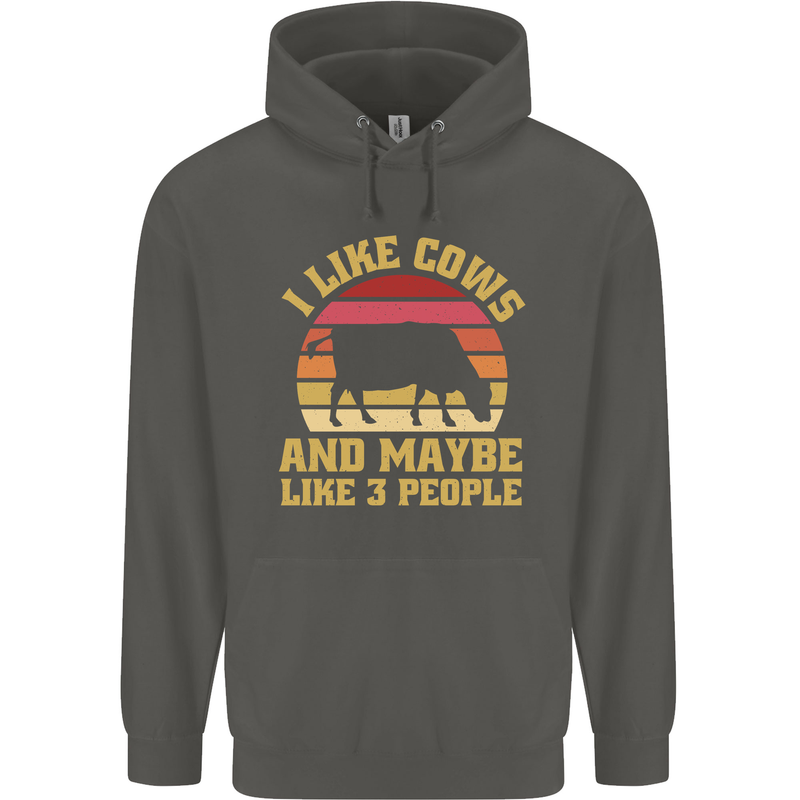 I Like Cows & 3 People Funny Sarcastic Slogan Childrens Kids Hoodie Storm Grey