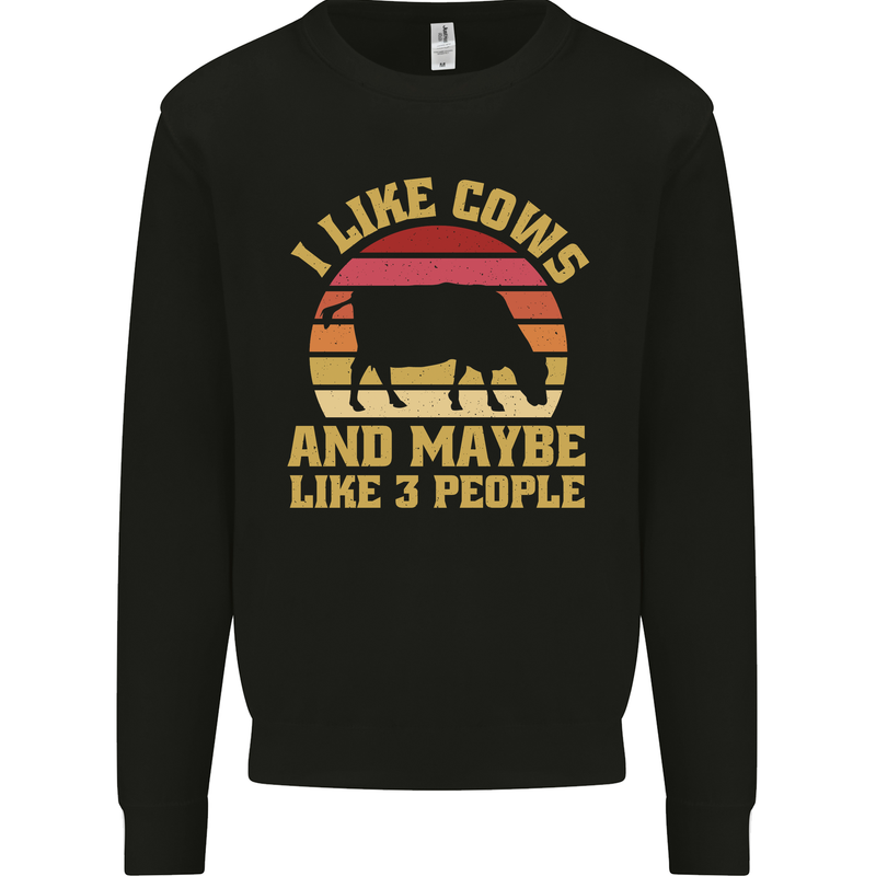 I Like Cows & 3 People Funny Sarcastic Slogan Kids Sweatshirt Jumper Black