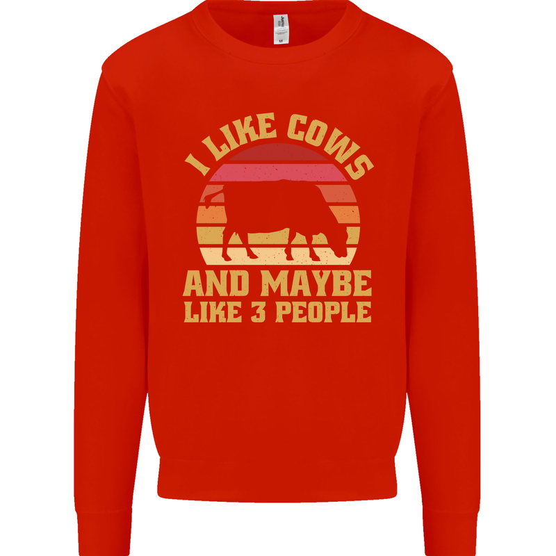 I Like Cows & 3 People Funny Sarcastic Slogan Kids Sweatshirt Jumper Bright Red
