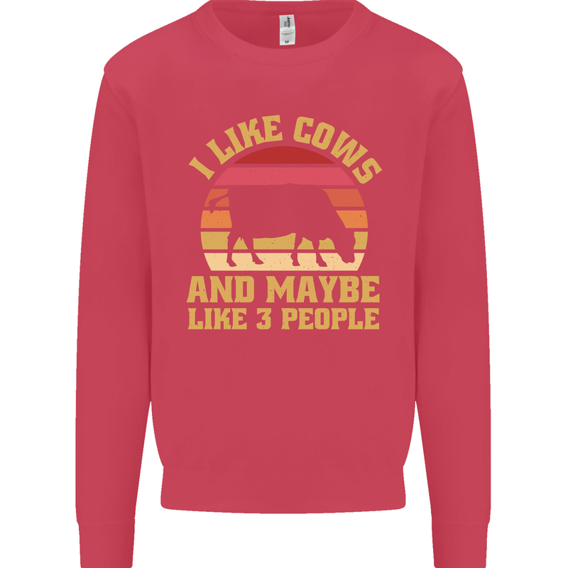 I Like Cows & 3 People Funny Sarcastic Slogan Kids Sweatshirt Jumper Heliconia