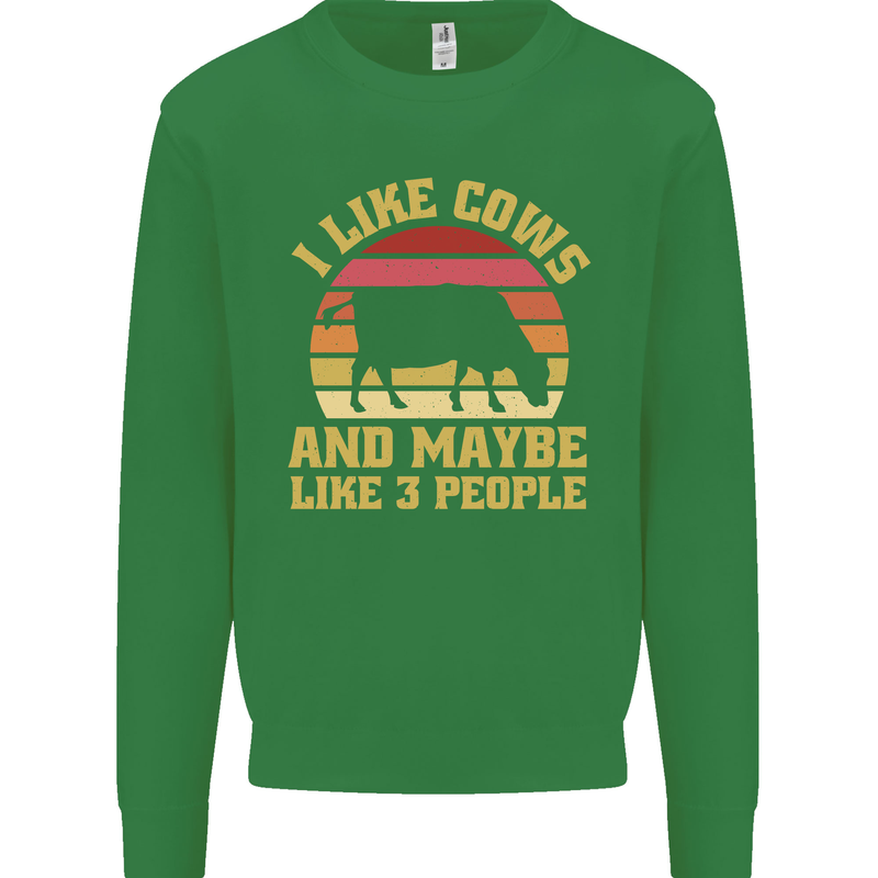 I Like Cows & 3 People Funny Sarcastic Slogan Kids Sweatshirt Jumper Irish Green