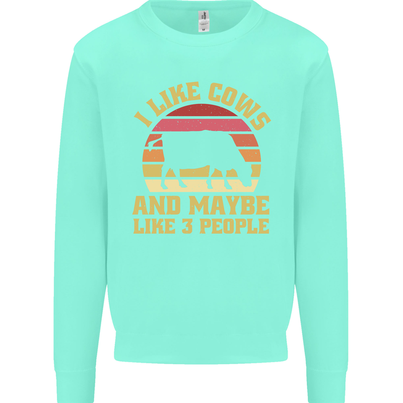 I Like Cows & 3 People Funny Sarcastic Slogan Kids Sweatshirt Jumper Peppermint