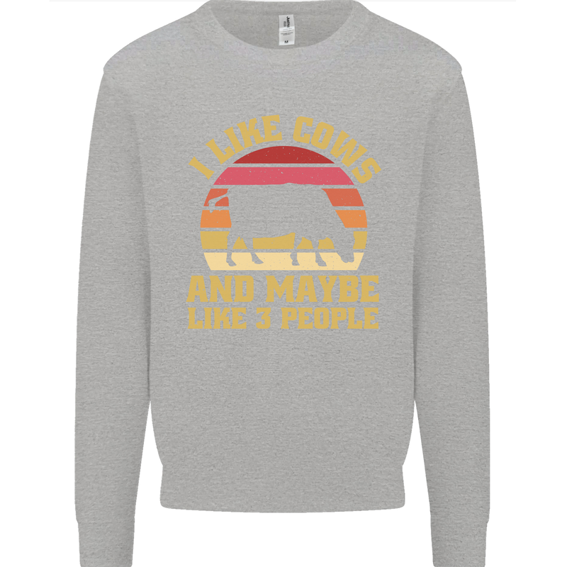 I Like Cows & 3 People Funny Sarcastic Slogan Kids Sweatshirt Jumper Sports Grey